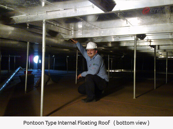 Pontoon Type Internal Floating Roof 19